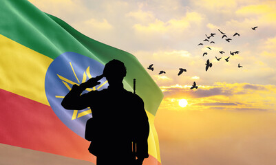Silhouette of a soldier with the Ethiopia flag stands against the background of a sunset or...