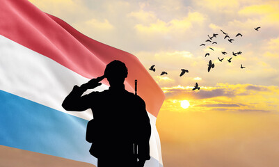 Silhouette of a soldier with the Luxembourg flag stands against the background of a sunset or...