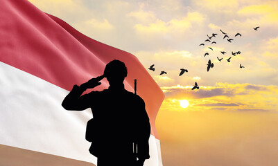 Silhouette of a soldier with the Monaco flag stands against the background of a sunset or sunrise....