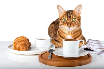 Cute cat near a plate with a croissant and a cup of coffee.