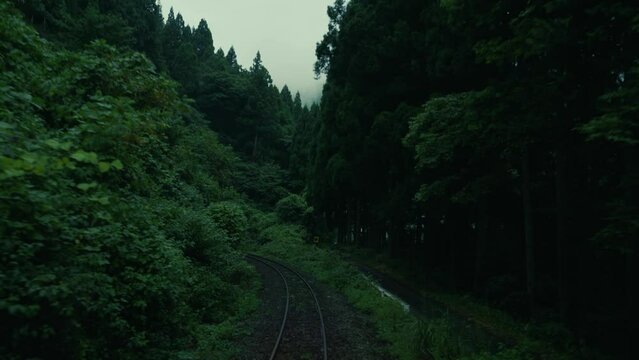 point of view from train. Local train between Kuzuryu station to Fukui station. Local railway that surrounding deep forest and nature, Japan