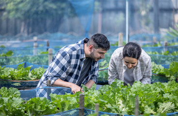 Farm owner assesses soil, crops for planting. Entrepreneur organizes daily plans and budgets.