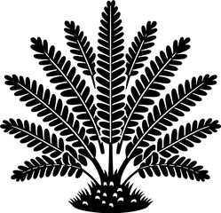 Emblingiaceae plant icon 5