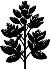 Elatinaceae plant icon 5