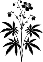 Droseraceae plant icon 10