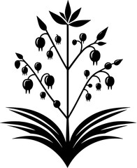 Dirachmaceae plant icon