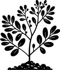 Dioncophyllaceae plant icon 8