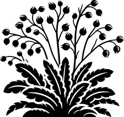 Dioncophyllaceae plant icon 5