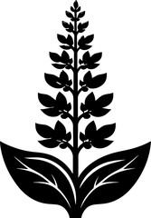 Diapensiaceae plant icon 6