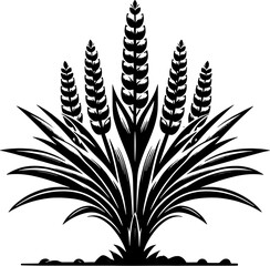 Datiscaceae Plant icon 15