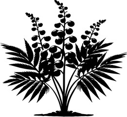Datiscaceae Plant icon