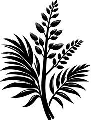 Datiscaceae Plant icon 10