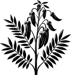 Datiscaceae Plant icon 6