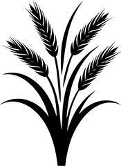 Cyperaceae plant icon 11