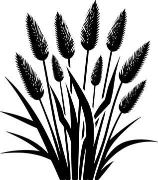 Cyperaceae plant icon