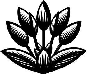 Cyclanthaceae plant icon 6