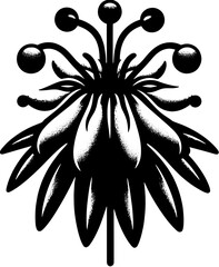Curtisiaceae plant icon 1