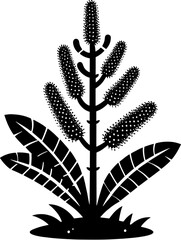 Cunoniaceae plant icon