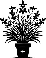 Crossosomataceae plant icon 9