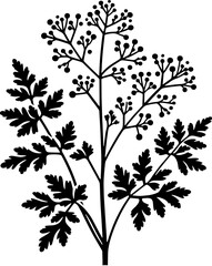 Coriariaceae plant icon