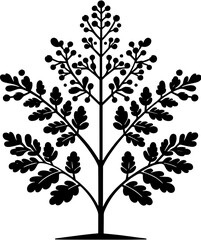 Coriariaceae plant icon 1