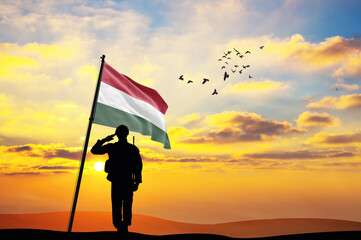 Silhouette of a soldier with the Hungary flag stands against the background of a sunset or sunrise....