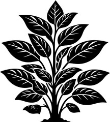 Connaraceae plant icon 7