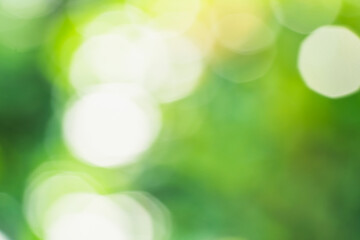 Grün Bokeh Hintergrund in weichen Farben im Licht 