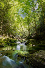 三重-【赤目四十八滝（新緑）】