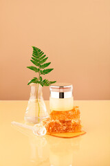 A fern leaf is inserted into an erlenmeyer flask, a luxurious cosmetic jar placed on natural raw...