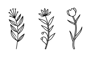Abstract line art flowers vector clipart. Spring illustration.