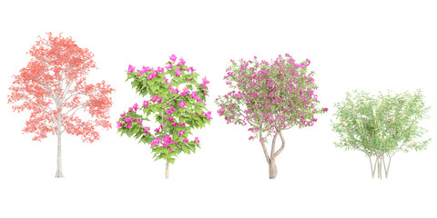 Realistic Bombax Cebia,Bougnevilla,Bougnevilla,Brunfelsia Americana foreground isolated