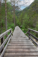 trail around Lago di Dobbiaco