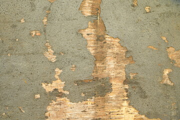 The old wooden background has damaged marks.