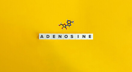 Adenosine Molecule and Banner. Neuronal Plasticity, Learning and Memory, Motor Function, Feeding,...