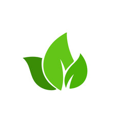 Green leaves vector