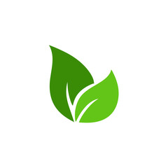 Obraz premium Green leaves vector