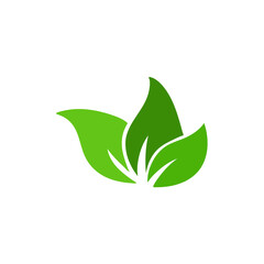 Obraz premium Green leaves vector