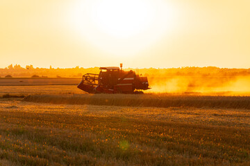 Combine harvester on the field at sunset. Combine harvester in wheat field. Combine harvester harvests ripe wheat. Agriculture concept