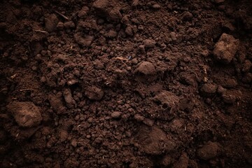 Close up exploration of nature captures raw beauty of ground beneath feet. Rich brown tones speak to essence of soil symbolizing fertility and potential for growth