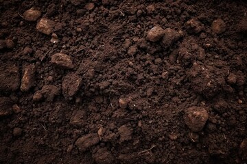 Close up exploration of nature captures raw beauty of ground beneath feet. Rich brown tones speak to essence of soil symbolizing fertility and potential for growth