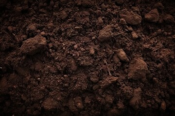 Close up exploration of nature captures raw beauty of ground beneath feet. Rich brown tones speak to essence of soil symbolizing fertility and potential for growth