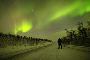 Silhouette of a person looking at aurora borealis dance in the arctic night