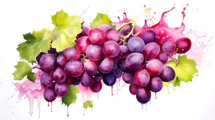 Fotobehang grape watercolour © Ball