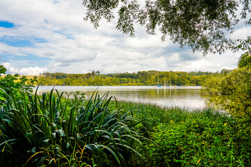 Nature at the Brucher Dam near Marienheide in North Rhine-Westphalia. View of the lake with the...
