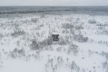 Winter nature scene of Estonia. Observation tower on the Viru raba in winter day. Drone view.
