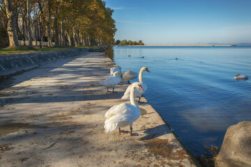Waterfront at the Lake Balaton in Balatonfoldvar,Hungary.