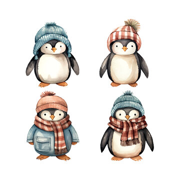 water color clip art winter penguin dresses in hat