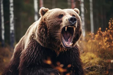 Poster Big scary brown bear roars in the autumn forest © Александр Довянский