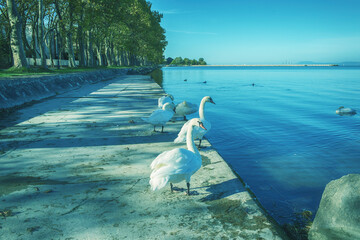 Waterfront at the Lake Balaton in Balatonfoldvar,Hungary.